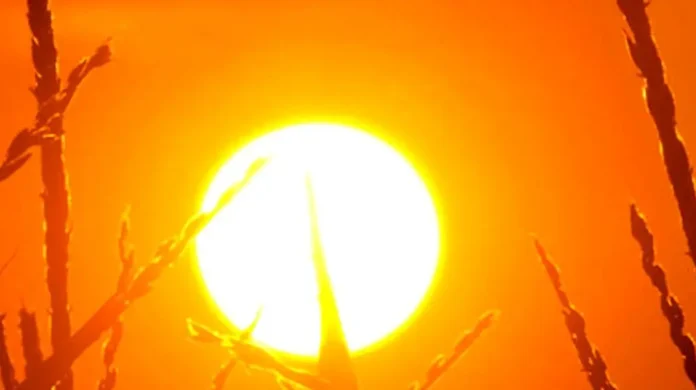Pakistan weather Hottest November