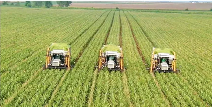 Pakistan agricultural exports