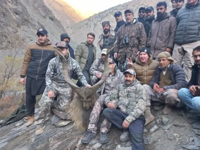 Kashmir markhor