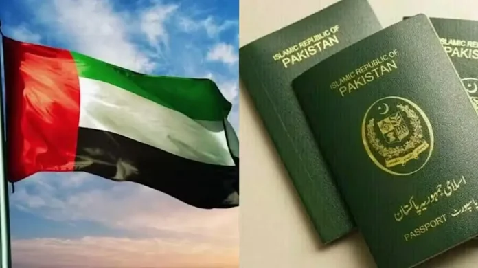 UAE Amnesty Scheme